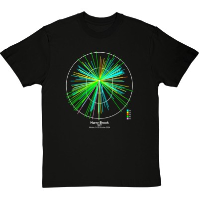Harry Brook England vs Pakistan 2024 Wagon Wheel